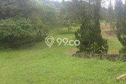Tanah di Sukaraja, Bogor Luas 16000m2 Dijual Segera Tanah di Sukaraja, Bogor Luas 16000m2 Dijual Segera