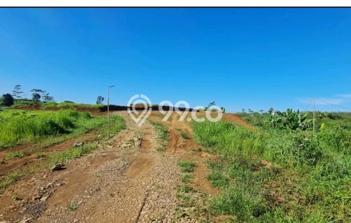 Tanah Dijual Lokasi Cianjur, Cianjur dengan Luas Tanah 559461m2 dan Status SHM Tanah Dijual Lokasi Cianjur, Cianjur dengan Luas Tanah 559461m2 dan Status SHM