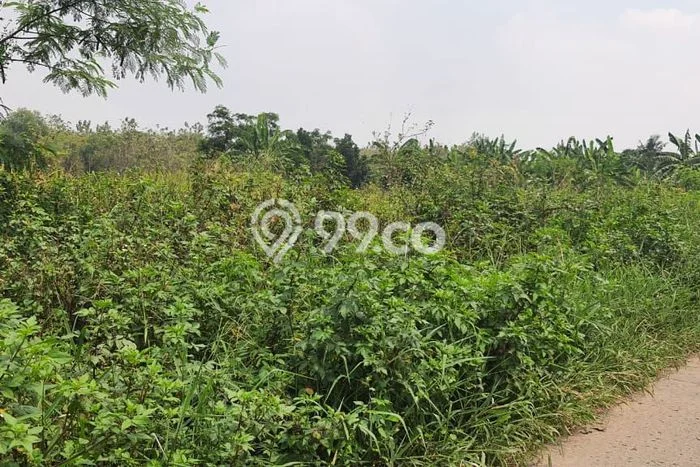Tanah Dijual Lokasi Sindang Jaya, Tangerang dengan Luas Tanah 4825m2 dan Status SHM Tanah Dijual Lokasi Sindang Jaya, Tangerang dengan Luas Tanah 4825m2 dan Status SHM