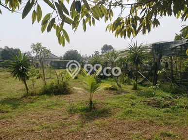 Kavling Tanah Dijual di Tajinan Malang Spesifikasi 1812m2 Kavling Tanah Dijual di Tajinan Malang Spesifikasi 1812m2