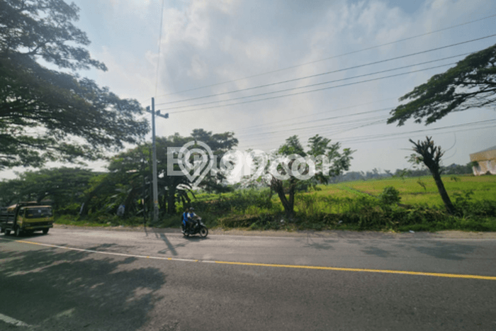 Tanah untuk Dijual di Menganti Gresik Luas 30000m2 Tanah untuk Dijual di Menganti Gresik Luas 30000m2