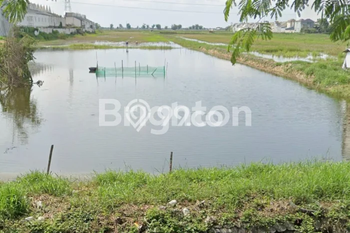 Jarang Ada! Tanah di Kebomas Punya Luas 20850m2 SHM Jarang Ada! Tanah di Kebomas Punya Luas 20850m2 SHM