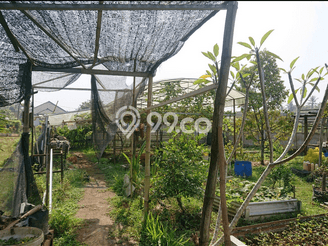 Kavling Tanah Dijual di Tajinan Malang Spesifikasi 1812m2 Kavling Tanah Dijual di Tajinan Malang Spesifikasi 1812m2