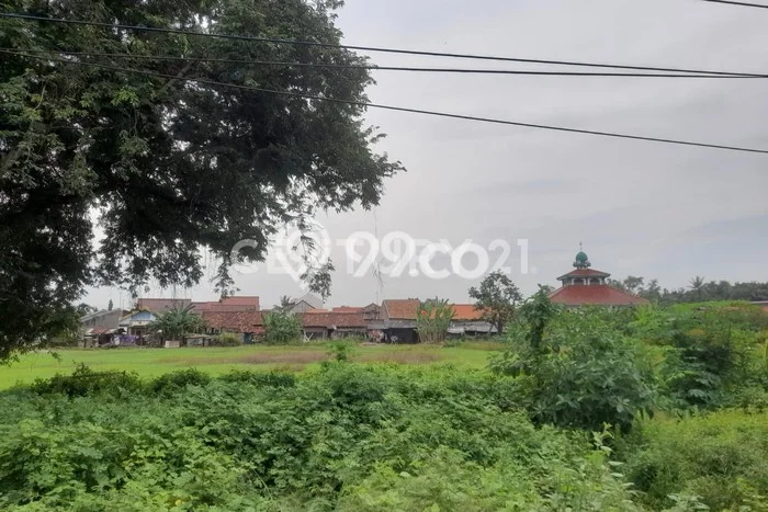 Tanah Dijual Lokasi Kasemen, Serang dengan Luas Tanah 7230m2 dan Status SHM Tanah Dijual Lokasi Kasemen, Serang dengan Luas Tanah 7230m2 dan Status SHM