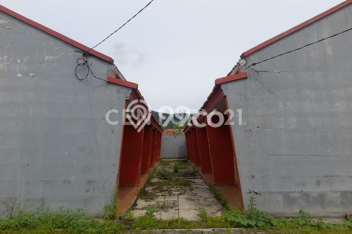 Jual Rumah Favorit Siap Huni LB 185m2 di Kramatwatu, Serang Jual Rumah Favorit Siap Huni LB 185m2 di Kramatwatu, Serang
