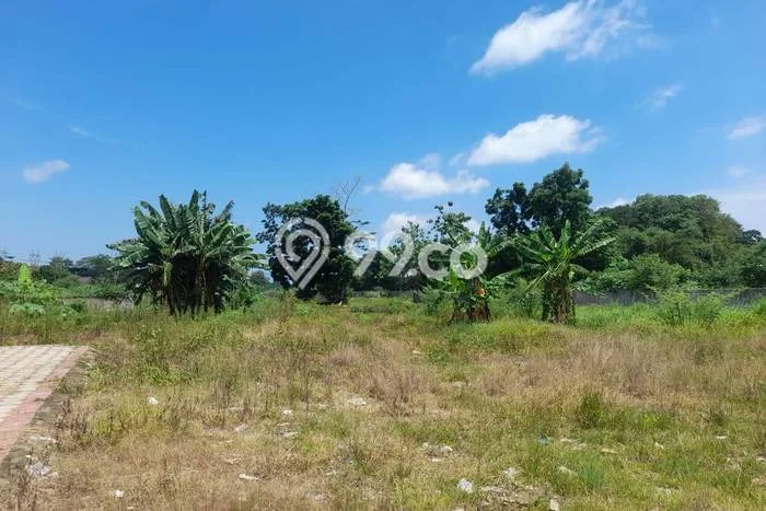 Lahan Kosong Disewakan di Cipocok Jaya, Serang, Luas 3200m2 Lahan Kosong Disewakan di Cipocok Jaya, Serang, Luas 3200m2