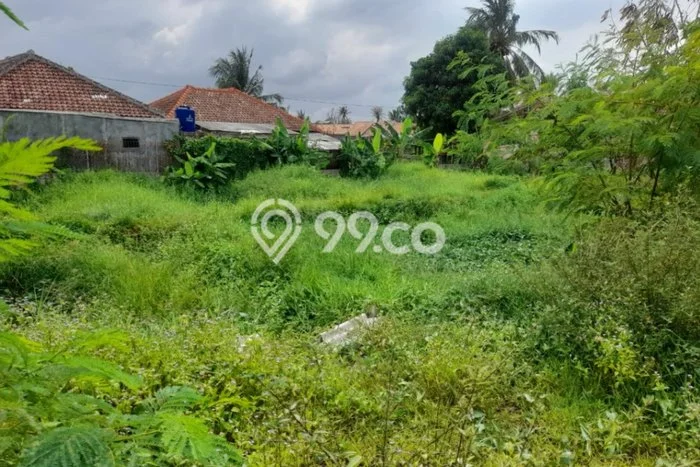 Lahan untuk Disewakan di Purwakarta Cilegon SHM Lahan untuk Disewakan di Purwakarta Cilegon SHM