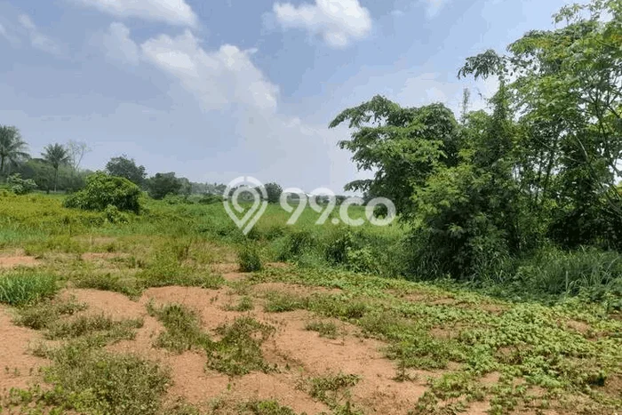Tanah untuk Disewakan di Cipocok Jaya Serang SHM Tanah untuk Disewakan di Cipocok Jaya Serang SHM