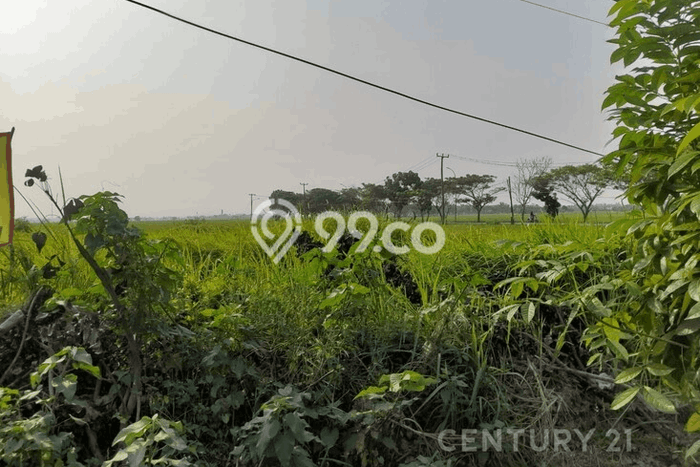 Tanah Dijual Lokasi Kramatwatu, Serang dengan Luas Tanah 1115m2 dan Status SHM Tanah Dijual Lokasi Kramatwatu, Serang dengan Luas Tanah 1115m2 dan Status SHM