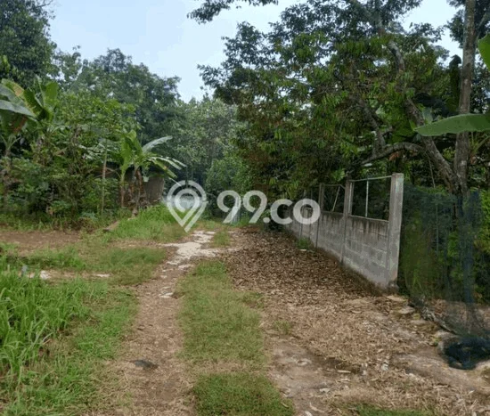 Tanah Dijual Lokasi Waringinkurung Serang - Tanah Dijual Lokasi Waringinkurung Serang -