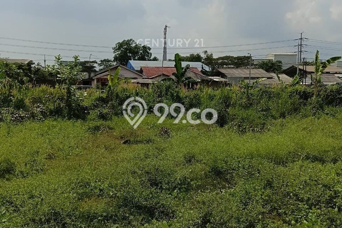 Tanah Dijual Lokasi Citangkil, Cilegon Luas 5295m2 Legalitas Aman Tanah Dijual Lokasi Citangkil, Cilegon Luas 5295m2 Legalitas Aman