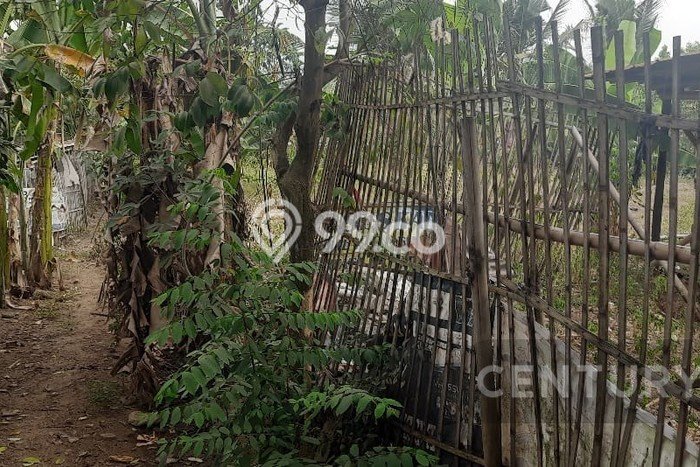 Tanah Dijual Area Strategis di Cilegon Indah Cilegon 1305m2 Tanah Dijual Area Strategis di Cilegon Indah Cilegon 1305m2