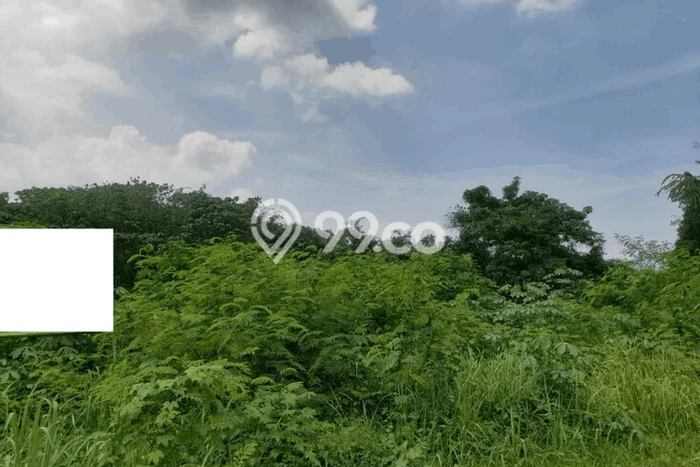 Tanah Kavling untuk Dijual di Cipocok Jaya Serang 7000m2 Tanah Kavling untuk Dijual di Cipocok Jaya Serang 7000m2