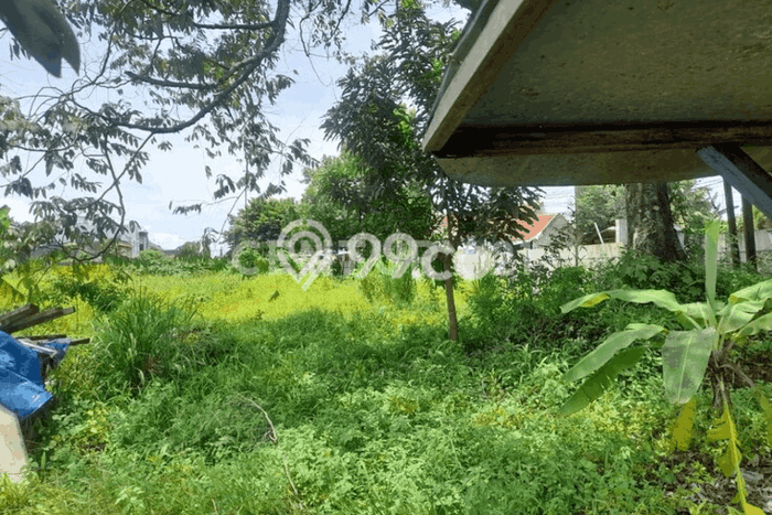 Lahan untuk Dijual Lokasi Cipocok Jaya, Serang Luas 4968m2 SHM Lahan untuk Dijual Lokasi Cipocok Jaya, Serang Luas 4968m2 SHM