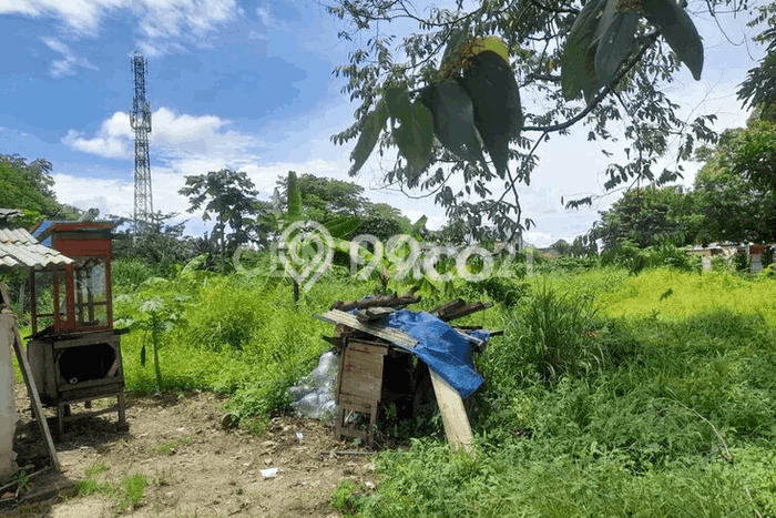 Lahan untuk Dijual Lokasi Cipocok Jaya, Serang Luas 4968m2 SHM Lahan untuk Dijual Lokasi Cipocok Jaya, Serang Luas 4968m2 SHM