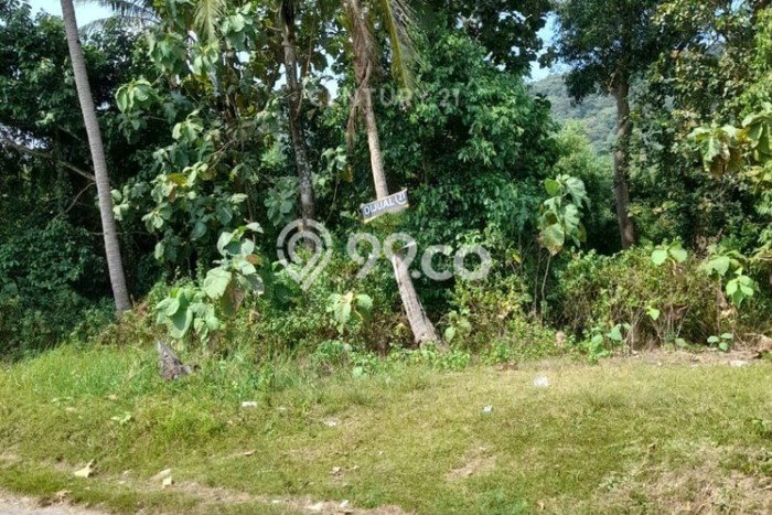 Dijual Tanah di Ciwandan Cilegon Luas 996m2 SHM Dijual Tanah di Ciwandan Cilegon Luas 996m2 SHM