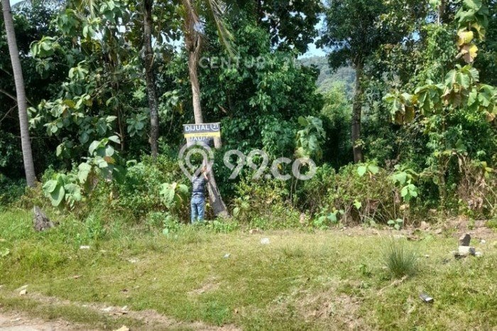 Dijual Tanah di Ciwandan Cilegon Luas 996m2 SHM Dijual Tanah di Ciwandan Cilegon Luas 996m2 SHM