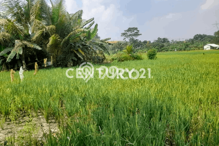 Tanah di Cipocok Jaya, Serang Luas 1070m2 Dijual Segera Tanah di Cipocok Jaya, Serang Luas 1070m2 Dijual Segera