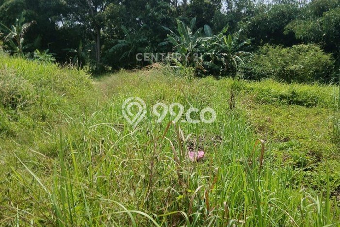 Tanah Dijual Lokasi Strategis di Cilegon dengan Luas 15000m2 Tanah Dijual Lokasi Strategis di Cilegon dengan Luas 15000m2