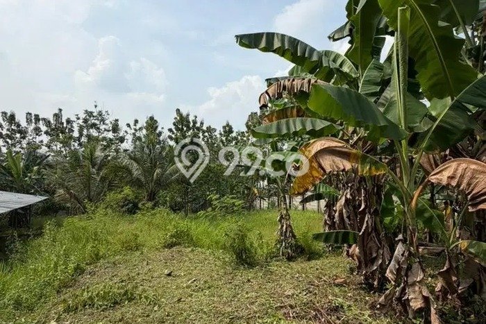Tanah Kavling Dijual di Bogor dengan Spesifikasi 4898m2 Tanah Kavling Dijual di Bogor dengan Spesifikasi 4898m2