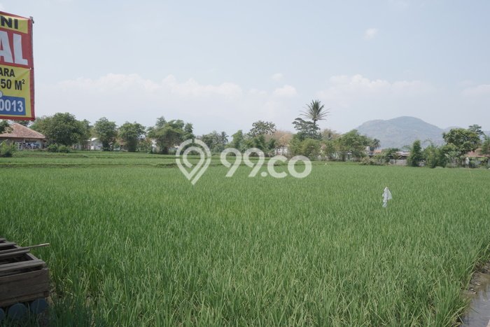 Jarang Ada! Tanah di Ciparay Punya Luas 7000m2 SHM Jarang Ada! Tanah di Ciparay Punya Luas 7000m2 SHM