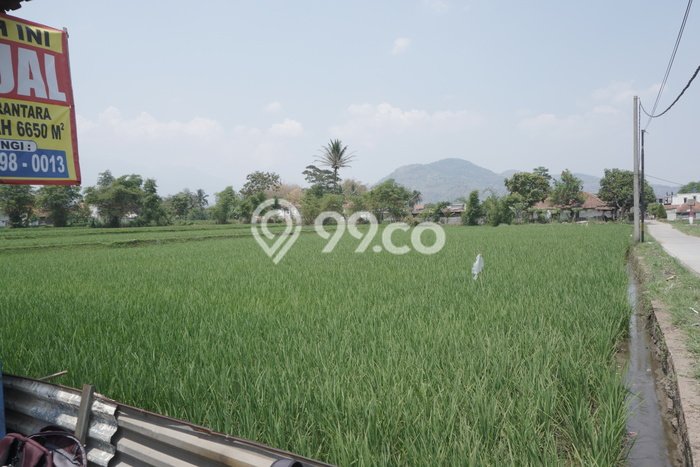 Jarang Ada! Tanah di Ciparay Punya Luas 7000m2 SHM Jarang Ada! Tanah di Ciparay Punya Luas 7000m2 SHM