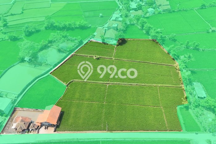 Jarang Ada! Tanah di Ciparay Punya Luas 7000m2 SHM Jarang Ada! Tanah di Ciparay Punya Luas 7000m2 SHM