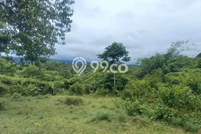 Kavling Tanah Dijual di Carita Pandeglang Spesifikasi 42000m2 Kavling Tanah Dijual di Carita Pandeglang Spesifikasi 42000m2
