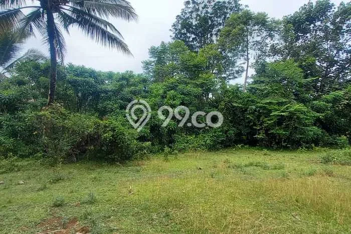 Kavling Tanah Dijual di Carita Pandeglang Spesifikasi 42000m2 Kavling Tanah Dijual di Carita Pandeglang Spesifikasi 42000m2