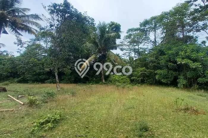 Kavling Tanah Dijual di Carita Pandeglang Spesifikasi 42000m2 Kavling Tanah Dijual di Carita Pandeglang Spesifikasi 42000m2