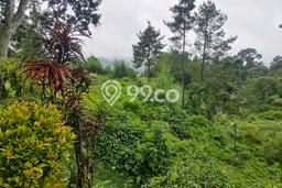Dijual Tanah Lokasi Puncak, Bogor Seluas 13110m2 Dijual Tanah Lokasi Puncak, Bogor Seluas 13110m2