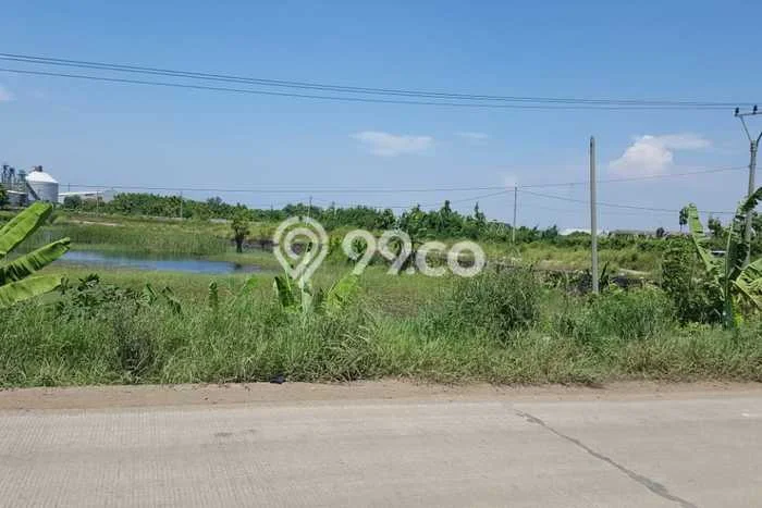 Tanah untuk Dijual Lokasi Bojonegara, Serang Luas 7000m2 SHM Tanah untuk Dijual Lokasi Bojonegara, Serang Luas 7000m2 SHM