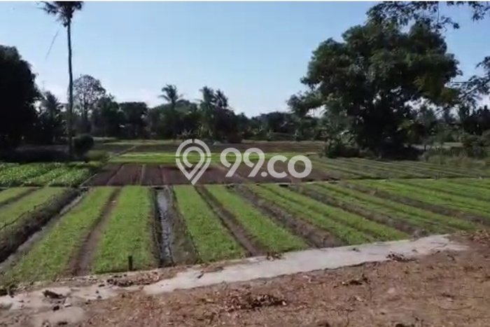 Kavling Tanah Dijual di Cibeber Cilegon Spesifikasi 7m2 Kavling Tanah Dijual di Cibeber Cilegon Spesifikasi 7m2