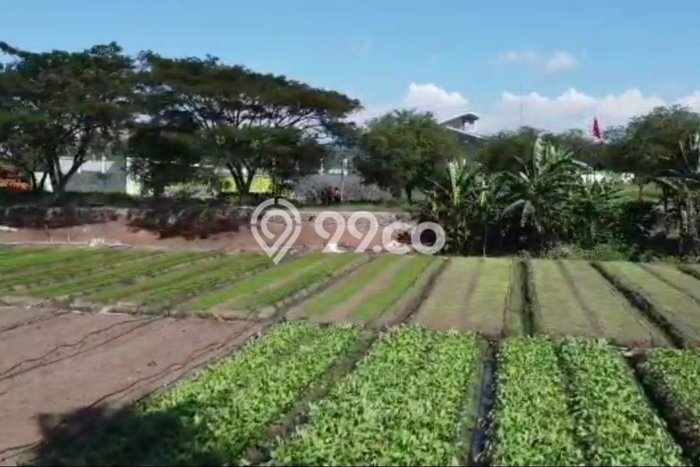 Kavling Tanah Dijual di Cibeber Cilegon Spesifikasi 7m2 Kavling Tanah Dijual di Cibeber Cilegon Spesifikasi 7m2