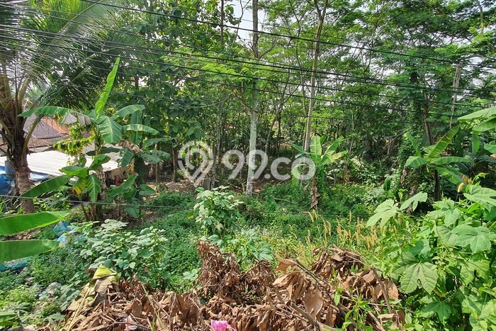 Tanah Kavling untuk Dijual di Cibeber Cilegon 3400m2 Tanah Kavling untuk Dijual di Cibeber Cilegon 3400m2