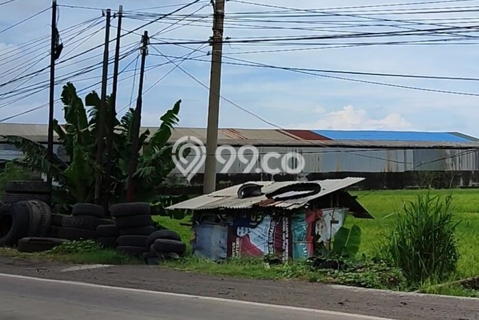 Tanah di Bojonegara, Serang Luas 220000m2 Dijual Segera Tanah di Bojonegara, Serang Luas 220000m2 Dijual Segera