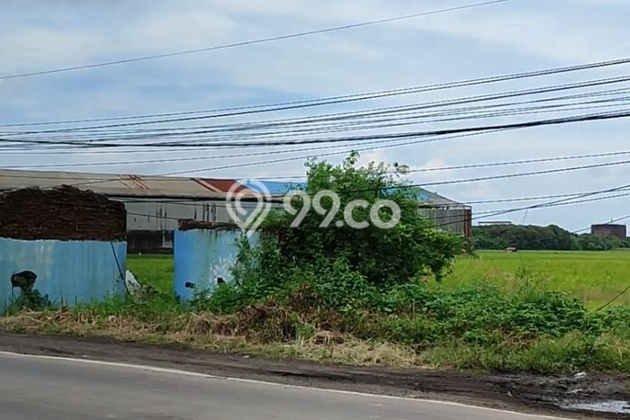 Tanah di Bojonegara, Serang Luas 220000m2 Dijual Segera Tanah di Bojonegara, Serang Luas 220000m2 Dijual Segera