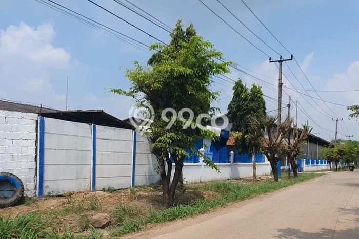 Tanah Dijual Lokasi Ciruas Serang - Tanah Dijual Lokasi Ciruas Serang -