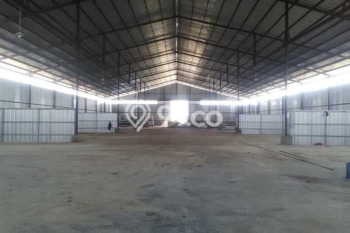 Area Strategis! Disewakan Gudang Lokasi Serang, Serang Cocok untuk Bisnis Area Strategis! Disewakan Gudang Lokasi Serang, Serang Cocok untuk Bisnis