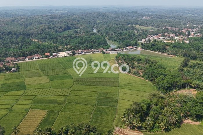 PENAWARAN MENARIK! Tanah di Cikulur, Luas 20000m², Lokasi Prima PENAWARAN MENARIK! Tanah di Cikulur, Luas 20000m², Lokasi Prima