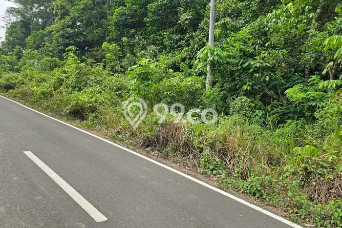 Tanah untuk Dijual di Rangkasbitung Lebak Luas 19000m2 Tanah untuk Dijual di Rangkasbitung Lebak Luas 19000m2