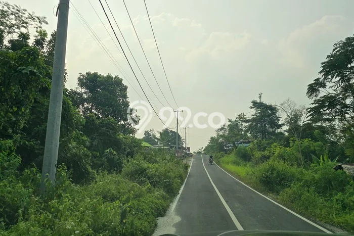 Tanah untuk Dijual di Rangkasbitung Lebak Luas 19000m2 Tanah untuk Dijual di Rangkasbitung Lebak Luas 19000m2
