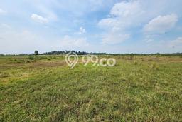 Lahan Kosong Dijual di Serang dengan Area 30000m2 Lahan Kosong Dijual di Serang dengan Area 30000m2