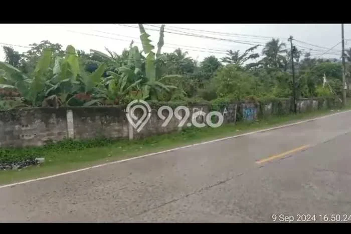 Tanah di Cigudeg, Bogor Luas 12000m2 Dijual Segera Tanah di Cigudeg, Bogor Luas 12000m2 Dijual Segera