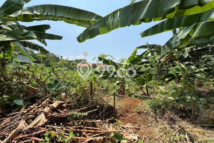 Tanah Dijual Area Strategis di Tanah Baru Bogor 964m2 Tanah Dijual Area Strategis di Tanah Baru Bogor 964m2