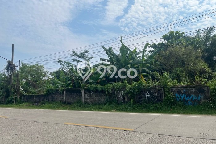 Tanah di Cigudeg, Bogor Luas 12000m2 Dijual Segera Tanah di Cigudeg, Bogor Luas 12000m2 Dijual Segera