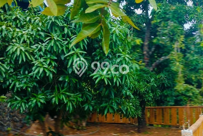 Tanah Kavling Dijual di Buleleng dengan Spesifikasi 5000m2 Tanah Kavling Dijual di Buleleng dengan Spesifikasi 5000m2