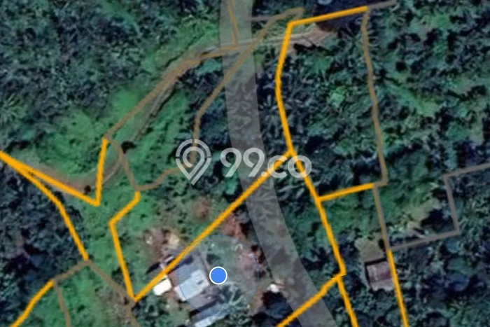 Tanah Dijual di Buleleng Seluas 7700m2 Strategis Tanah Dijual di Buleleng Seluas 7700m2 Strategis