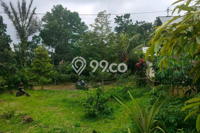 Tanah Dijual di Buleleng Seluas 7700m2 Strategis Tanah Dijual di Buleleng Seluas 7700m2 Strategis