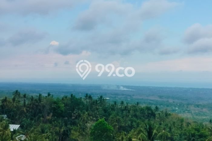 Tanah Kavling Dijual di Buleleng dengan Spesifikasi 5000m2 Tanah Kavling Dijual di Buleleng dengan Spesifikasi 5000m2